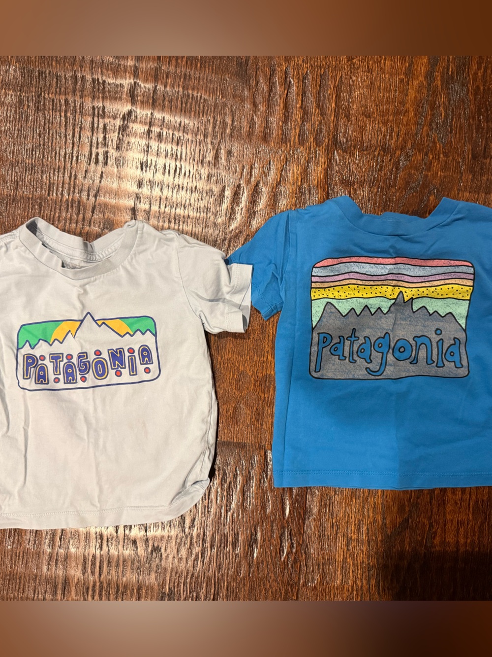 Patagonia Kids Short-Sleeve Logo Tee Set - Light Gray & Bright Blue